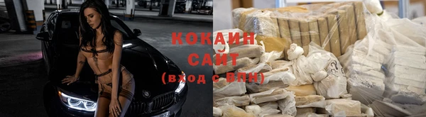 apvp Фурманов