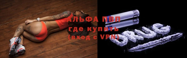 ПСИЛОЦИБИНОВЫЕ ГРИБЫ Верхний Тагил