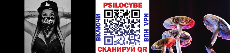 магазин    Елизово  Галлюциногенные грибы GOLDEN TEACHER 