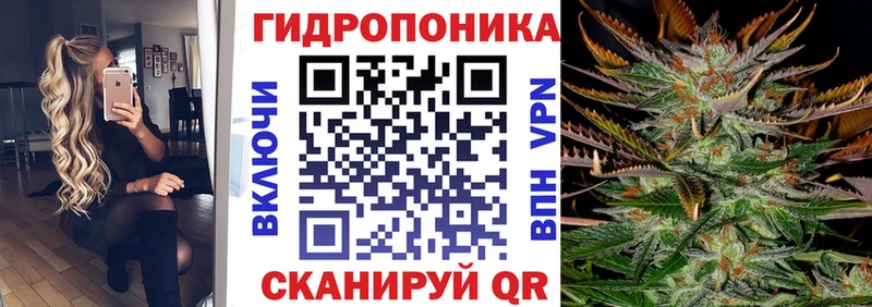 дарк нет состав  Елизово  Бошки марихуана Ganja  купить наркотик 